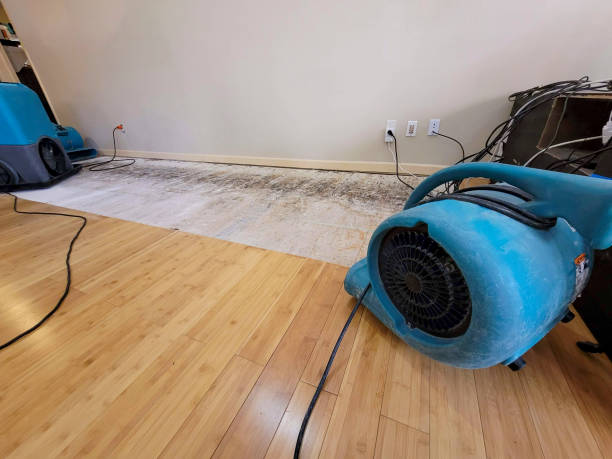 Professional Ceiling Water Damage Repair technician working in Joseph City, AZ